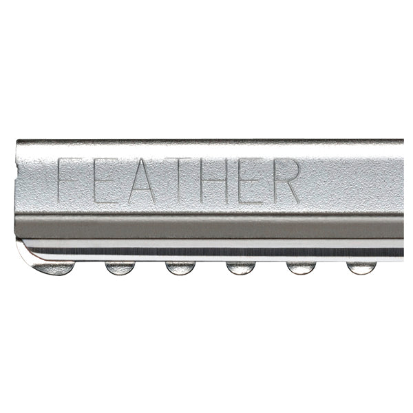 FEATHER STYLING RAZOR BLADES 30PK (#F1-20-130)